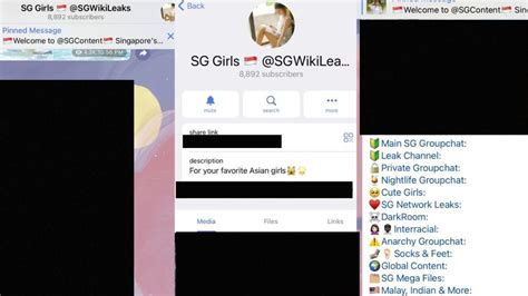 Police probing Telegram group allegedly hosting obscene images.